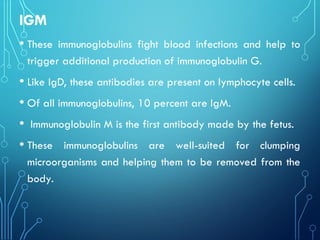 IGM
• These immunoglobulins fight blood infections and help to
trigger additional production of immunoglobulin G.
• Like IgD, these antibodies are present on lymphocyte cells.
• Of all immunoglobulins, 10 percent are IgM.
• Immunoglobulin M is the first antibody made by the fetus.
• These immunoglobulins are well-suited for clumping
microorganisms and helping them to be removed from the
body.
 
