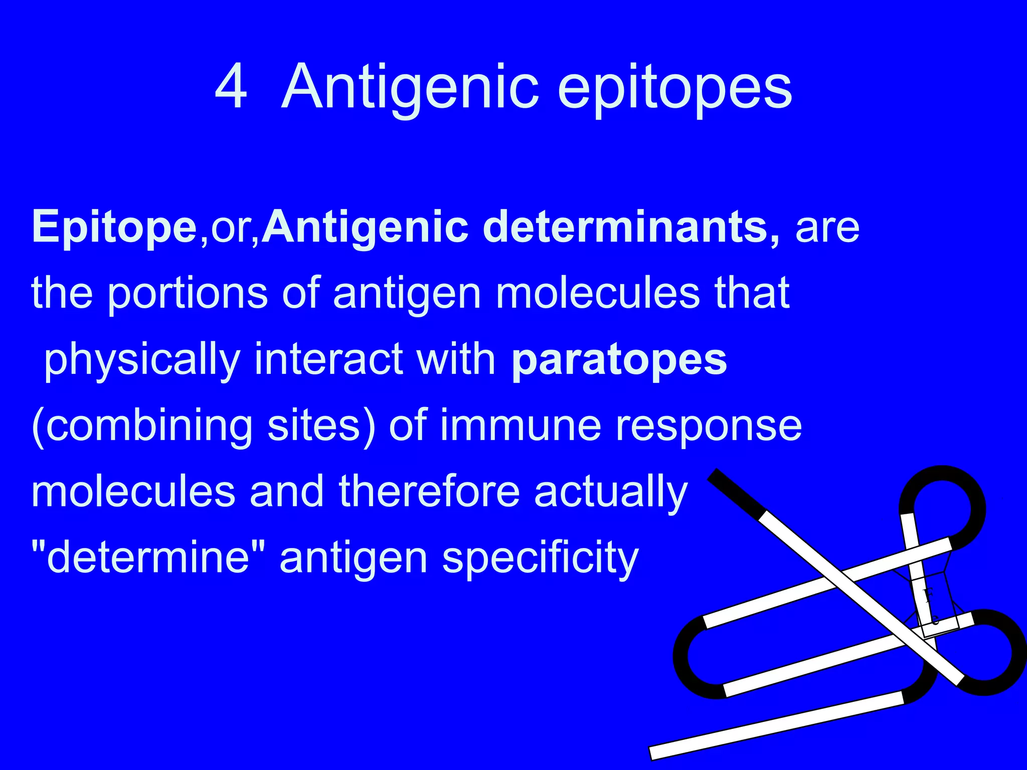 4 Antigenic epitopes
Epitope,or,Antigenic determinants, are
the portions of antigen molecules that
physically interact with paratopes
(combining sites) of immune response
molecules and therefore actually
"determine" antigen specificity
F
e
 