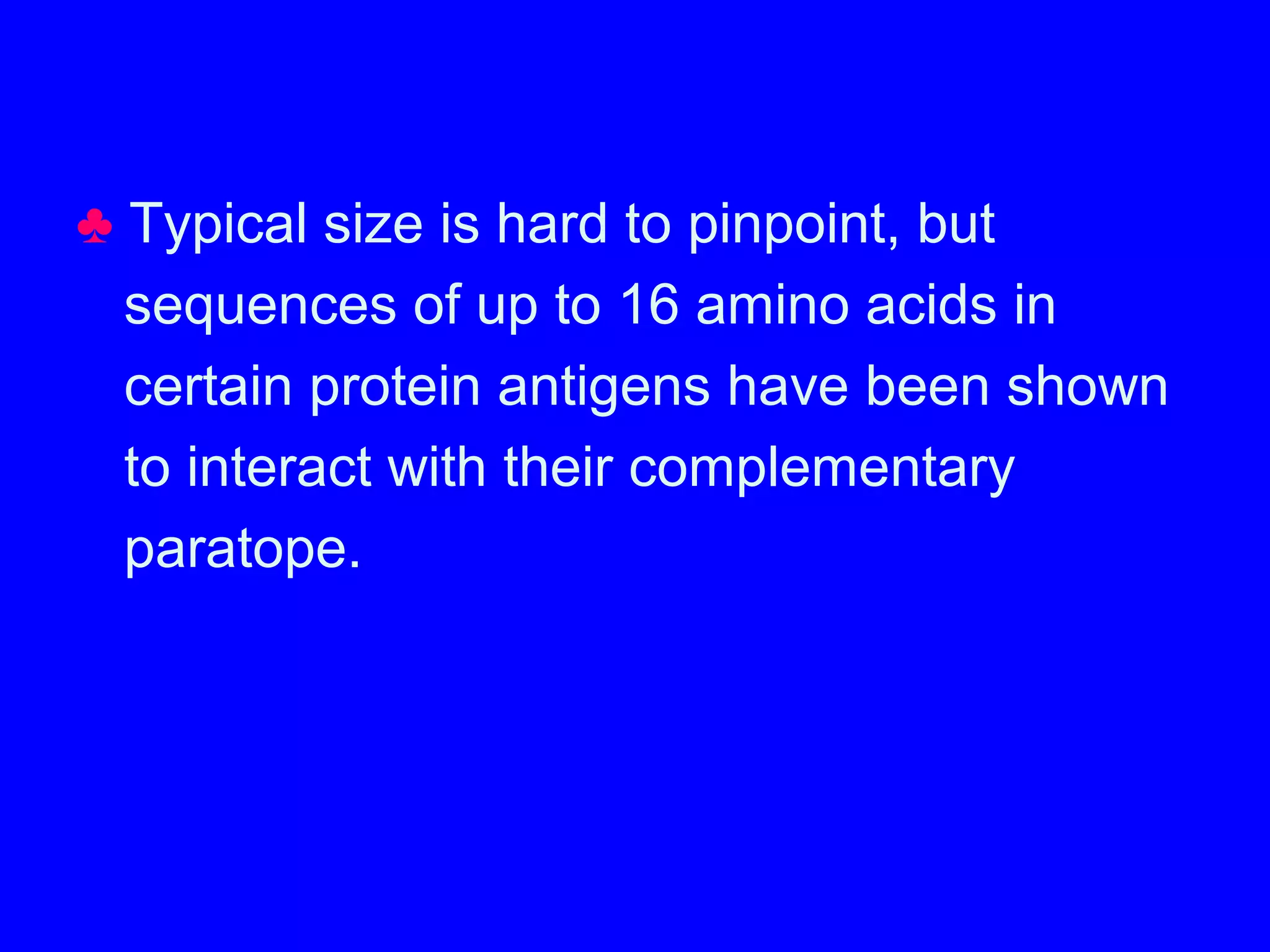 ♣ Typical size is hard to pinpoint, but
sequences of up to 16 amino acids in
certain protein antigens have been shown
to interact with their complementary
paratope.
 
