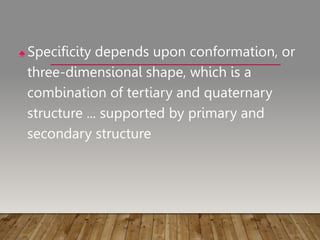 ♣ Specificity depends upon conformation, or
three-dimensional shape, which is a
combination of tertiary and quaternary
structure ... supported by primary and
secondary structure
 