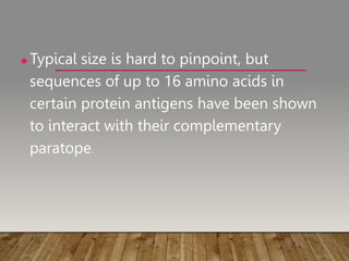 ♣ Typical size is hard to pinpoint, but
sequences of up to 16 amino acids in
certain protein antigens have been shown
to interact with their complementary
paratope.
 