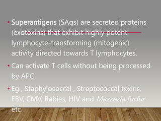 • Superantigens (SAgs) are secreted proteins
(exotoxins) that exhibit highly potent
lymphocyte-transforming (mitogenic)
activity directed towards T lymphocytes.
• Can activate T cells without being processed
by APC
• Eg , Staphylococcal , Streptococcal toxins,
EBV, CMV, Rabies, HIV and Mazzezia furfur
etc
 