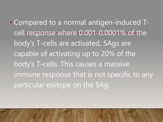 • Compared to a normal antigen-induced T-
cell response where 0.001-0.0001% of the
body’s T-cells are activated, SAgs are
capable of activating up to 20% of the
body’s T-cells. This causes a massive
immune response that is not specific to any
particular epitope on the SAg.
 