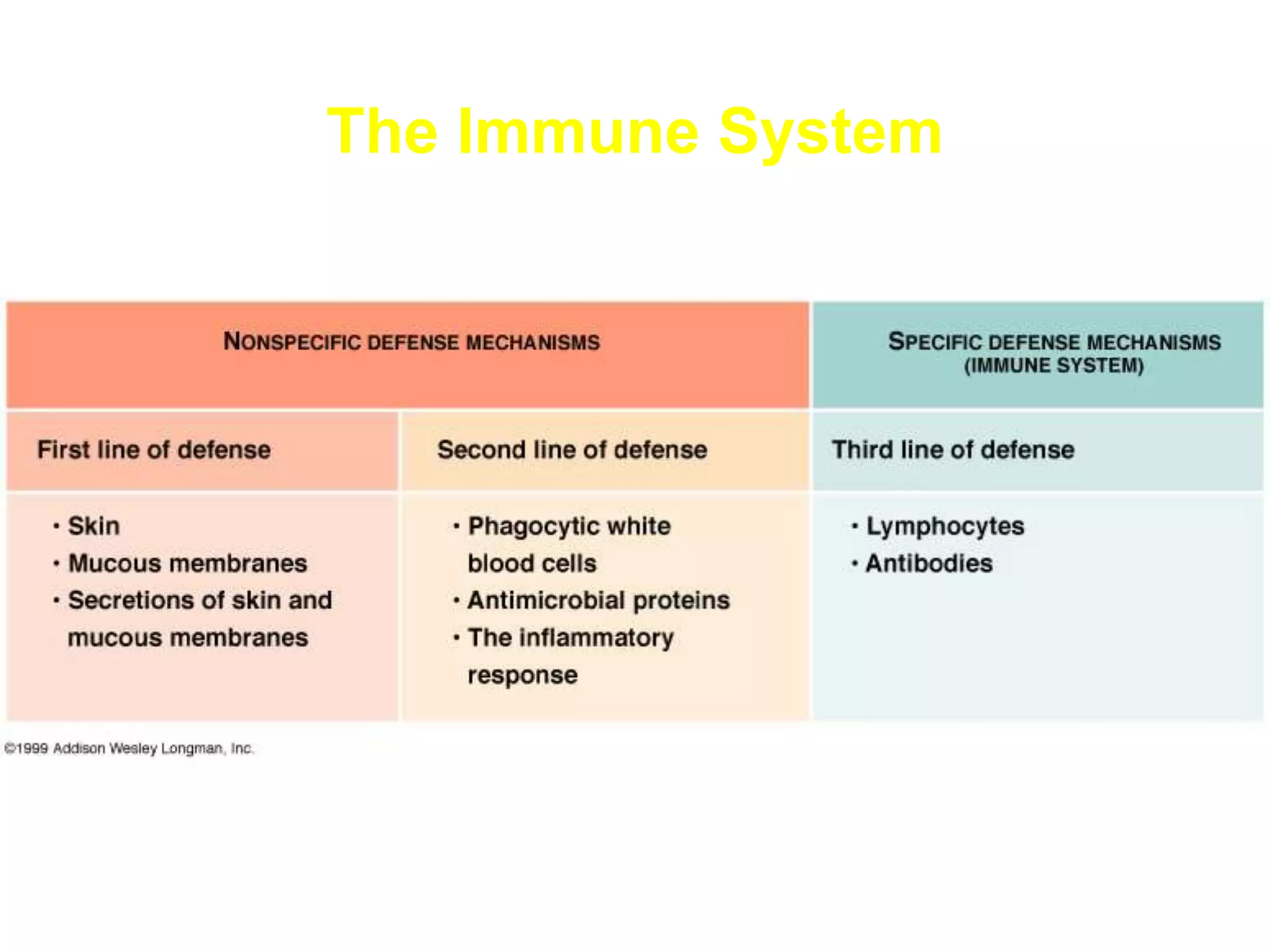 The Immune System
 