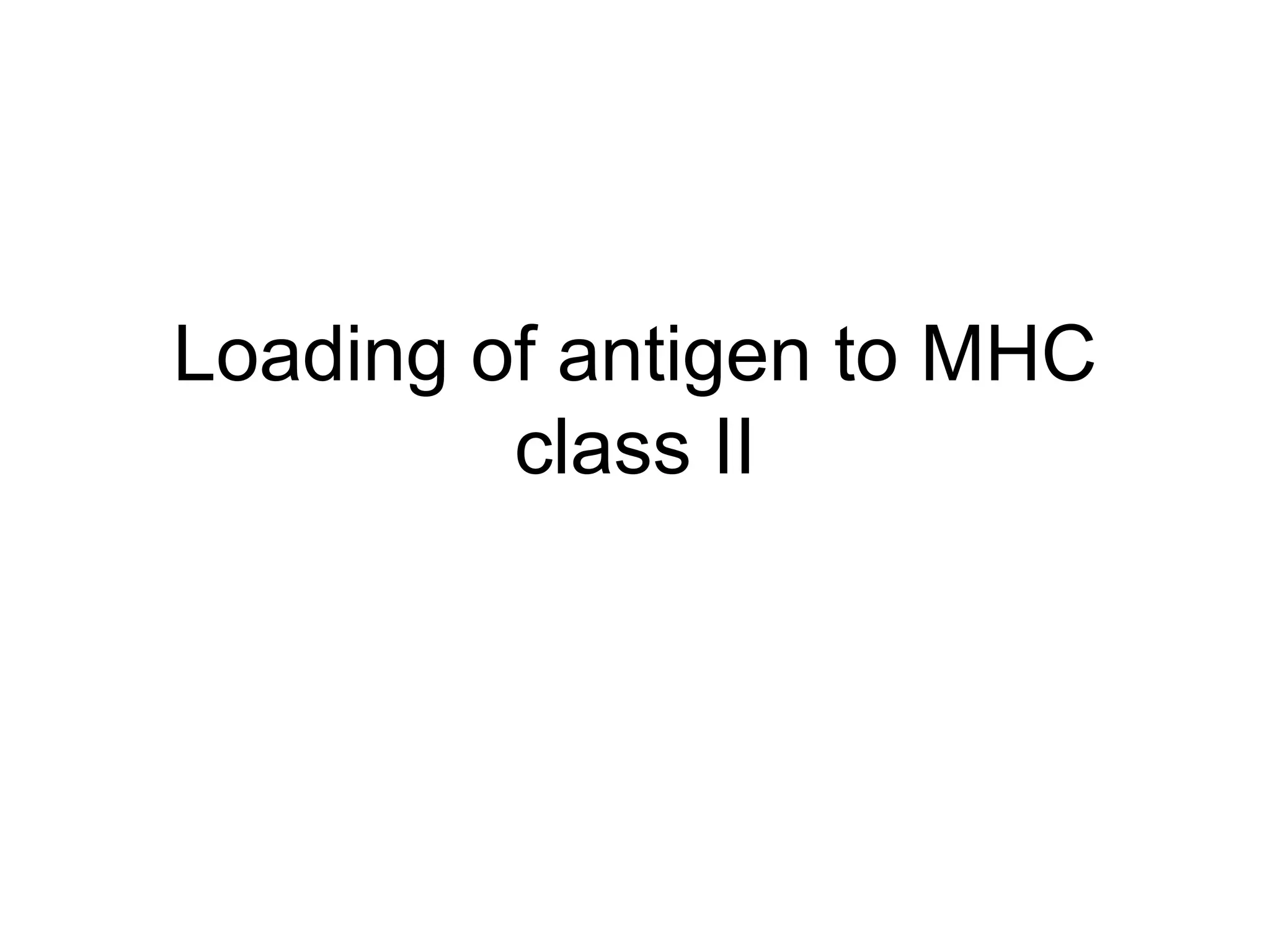 Loading of antigen to MHC
class II
 
