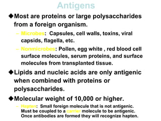 Antigens
Most are proteins or large polysaccharides
from a foreign organism.
– Microbes: Capsules, cell walls, toxins, viral
capsids, flagella, etc.
– Nonmicrobes: Pollen, egg white , red blood cell
surface molecules, serum proteins, and surface
molecules from transplanted tissue.
Lipids and nucleic acids are only antigenic
when combined with proteins or
polysaccharides.
Molecular weight of 10,000 or higher.
– Hapten: Small foreign molecule that is not antigenic.
Must be coupled to a carrier molecule to be antigenic.
Once antibodies are formed they will recognize hapten.
 