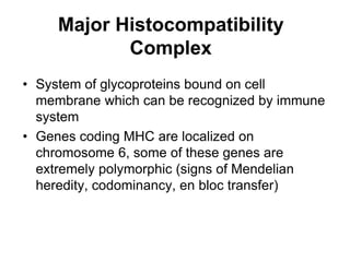 Major Histocompatibility
Complex
• System of glycoproteins bound on cell
membrane which can be recognized by immune
system
• Genes coding MHC are localized on
chromosome 6, some of these genes are
extremely polymorphic (signs of Mendelian
heredity, codominancy, en bloc transfer)
 
