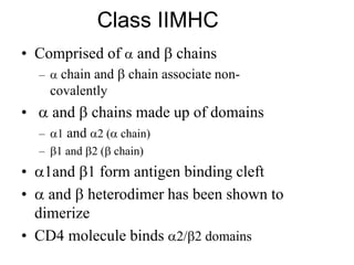 Class IIMHC
• Comprised of  and  chains
–  chain and  chain associate non-
covalently
•  and  chains made up of domains
– 1 and 2 ( chain)
– 1 and 2 ( chain)
• 1and 1 form antigen binding cleft
•  and  heterodimer has been shown to
dimerize
• CD4 molecule binds 2/2 domains
 