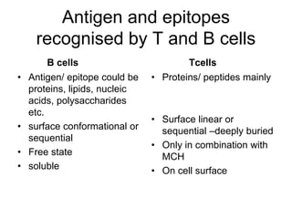 Antigen and epitopes
recognised by T and B cells
B cells
• Antigen/ epitope could be
proteins, lipids, nucleic
acids, polysaccharides
etc.
• surface conformational or
sequential
• Free state
• soluble
Tcells
• Proteins/ peptides mainly
• Surface linear or
sequential –deeply buried
• Only in combination with
MCH
• On cell surface
 