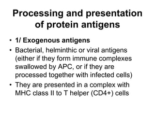 Processing and presentation
of protein antigens
• 1/ Exogenous antigens
• Bacterial, helminthic or viral antigens
(either if they form immune complexes
swallowed by APC, or if they are
processed together with infected cells)
• They are presented in a complex with
MHC class II to T helper (CD4+) cells
 