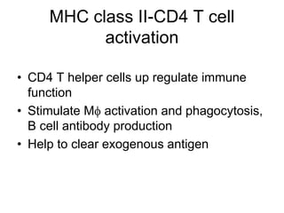 MHC class II-CD4 T cell
activation
• CD4 T helper cells up regulate immune
function
• Stimulate M activation and phagocytosis,
B cell antibody production
• Help to clear exogenous antigen
 