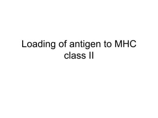 Loading of antigen to MHC
class II
 