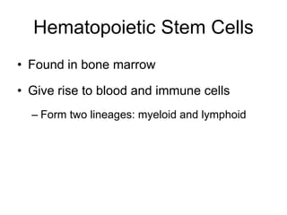 • Found in bone marrow
• Give rise to blood and immune cells
– Form two lineages: myeloid and lymphoid
Hematopoietic Stem Cells
 