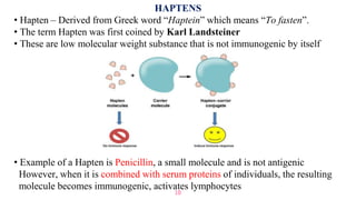 Haptens Example Antigen | PPTX