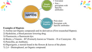 Haptens Example Antigen | PPTX