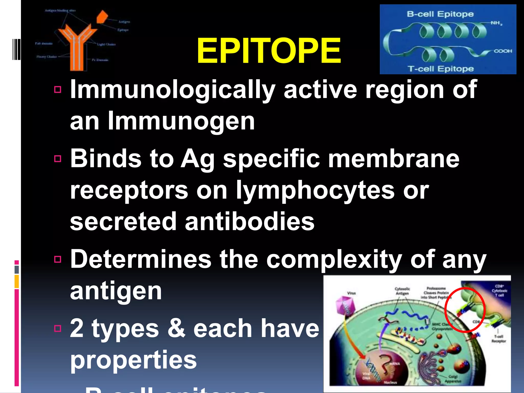 EPITOPE
 Immunologically active region of
  an Immunogen
 Binds to Ag specific membrane
  receptors on lymphocytes or
  secreted antibodies
 Determines the complexity of any
  antigen
 2 types & each have different
  properties
 