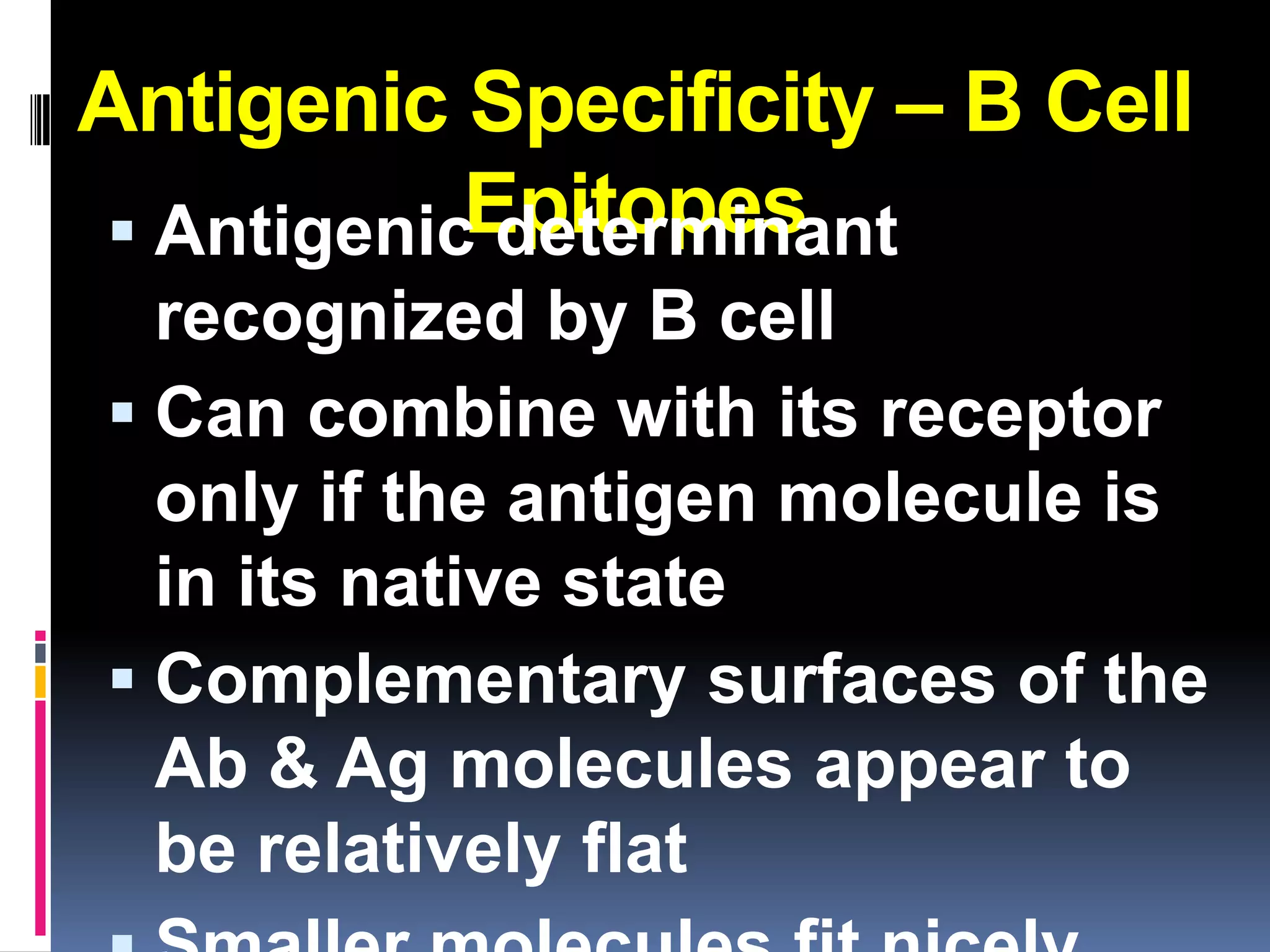 Antigenic Specificity – B Cell
           Epitopes
 Antigenic determinant
  recognized by B cell
 Can combine with its receptor
  only if the antigen molecule is
  in its native state
 Complementary surfaces of the
  Ab & Ag molecules appear to
  be relatively flat
 