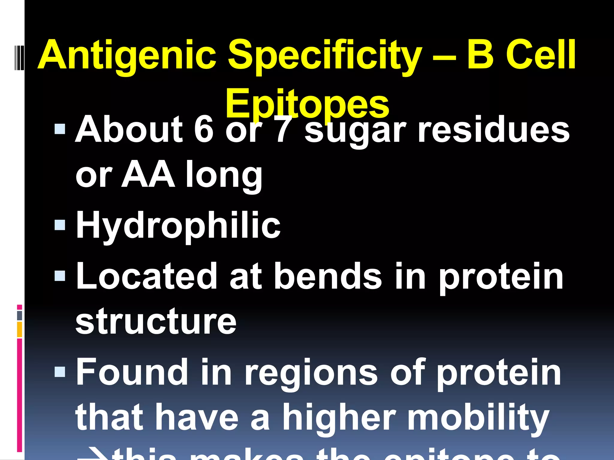 Antigenic Specificity – B Cell
          Epitopes
 About 6 or 7 sugar residues
  or AA long
 Hydrophilic
 Located at bends in protein
  structure
 Found in regions of protein
  that have a higher mobility
 