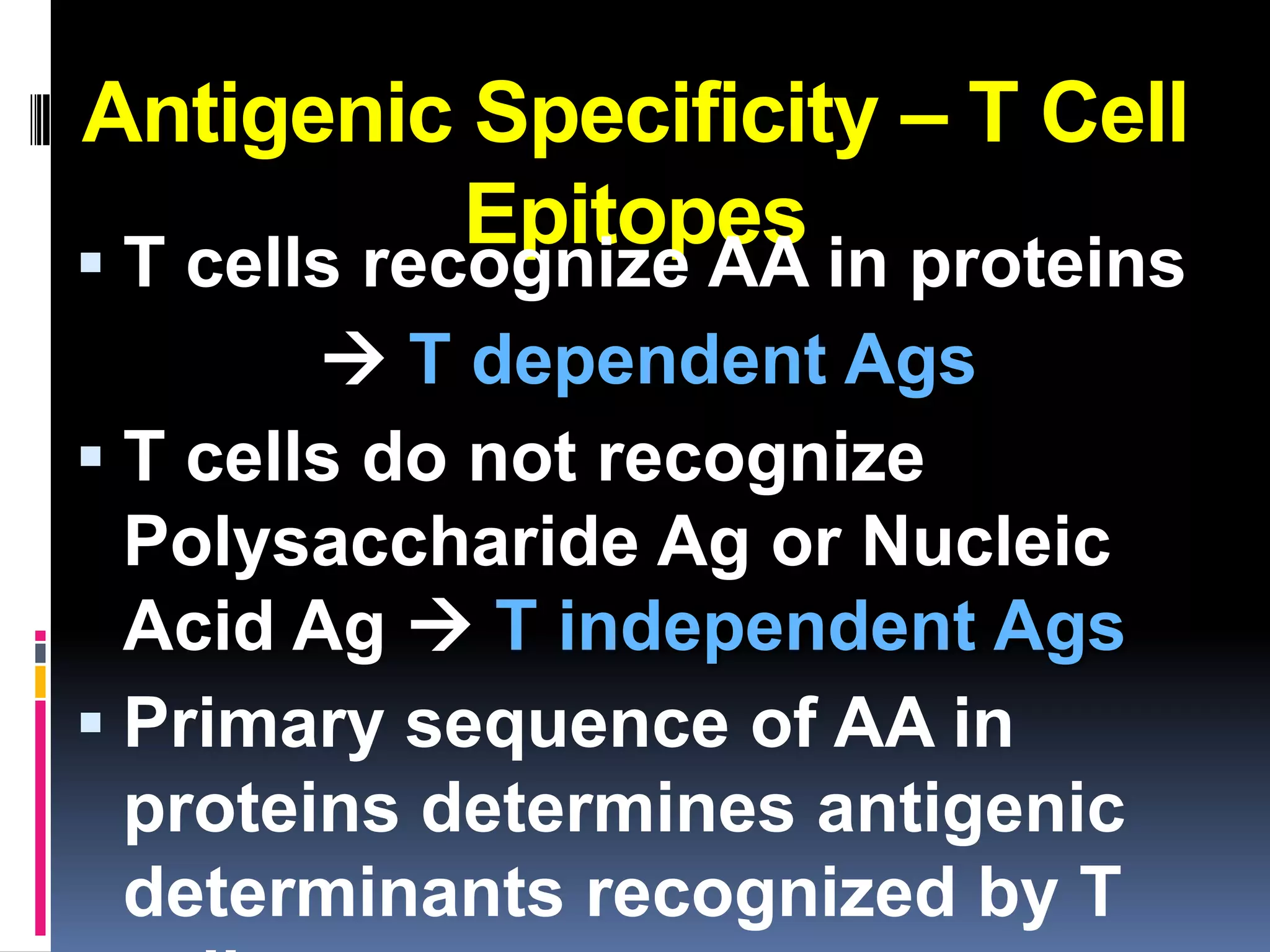 Antigenic Specificity – T Cell
         Epitopes
 T cells recognize AA in proteins
         T dependent Ags
 T cells do not recognize
  Polysaccharide Ag or Nucleic
  Acid Ag  T independent Ags
 Primary sequence of AA in
  proteins determines antigenic
  determinants recognized by T
 