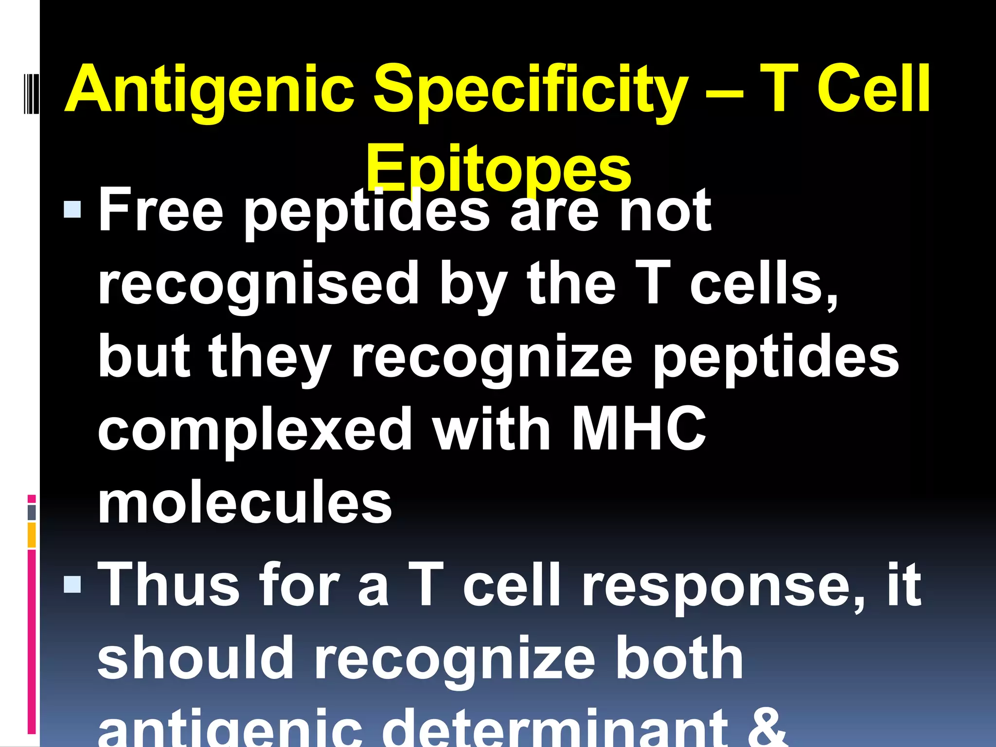 Antigenic Specificity – T Cell
         Epitopes
 Free peptides are not
  recognised by the T cells,
  but they recognize peptides
  complexed with MHC
  molecules
 Thus for a T cell response, it
  should recognize both
 