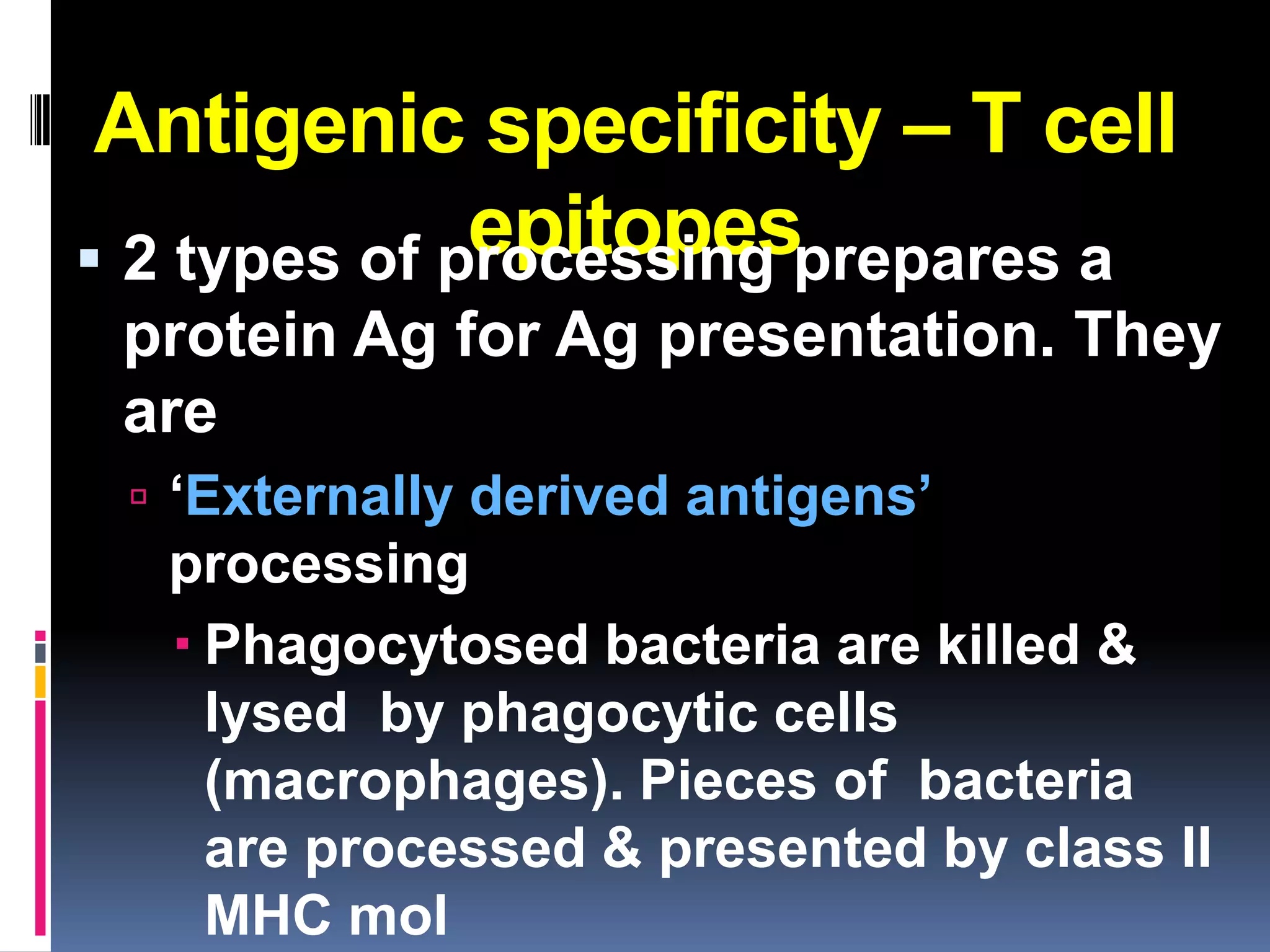 Antigenic specificity – T cell
              epitopesprepares a
 2 types of processing
 protein Ag for Ag presentation. They
 are
  ‘Externally derived antigens’
  processing
   Phagocytosed bacteria are killed &
    lysed by phagocytic cells
    (macrophages). Pieces of bacteria
    are processed & presented by class II
    MHC mol
 