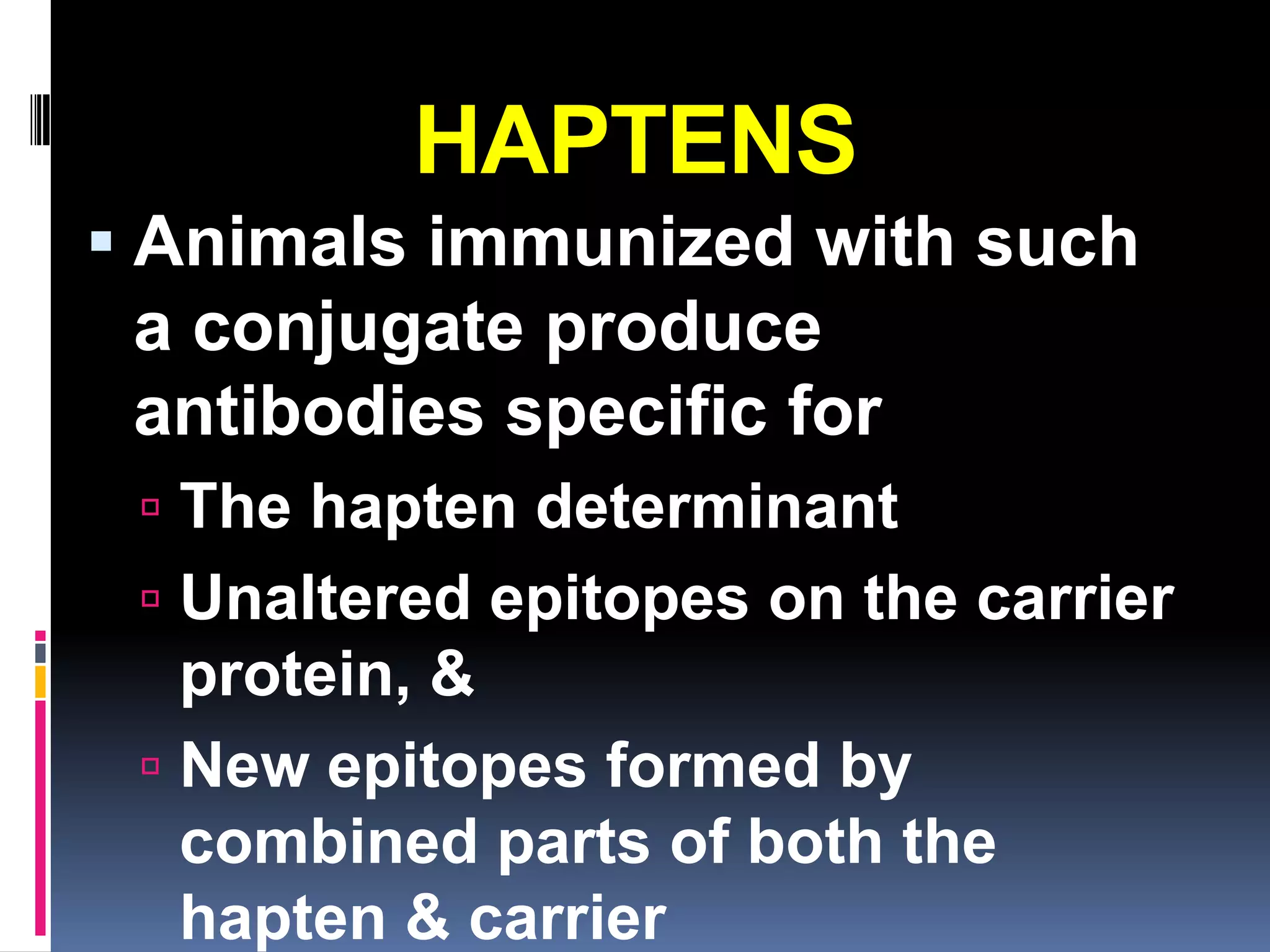 HAPTENS
 Animals immunized with such
 a conjugate produce
 antibodies specific for
  The hapten determinant
  Unaltered epitopes on the carrier
   protein, &
  New epitopes formed by
   combined parts of both the
   hapten & carrier
 