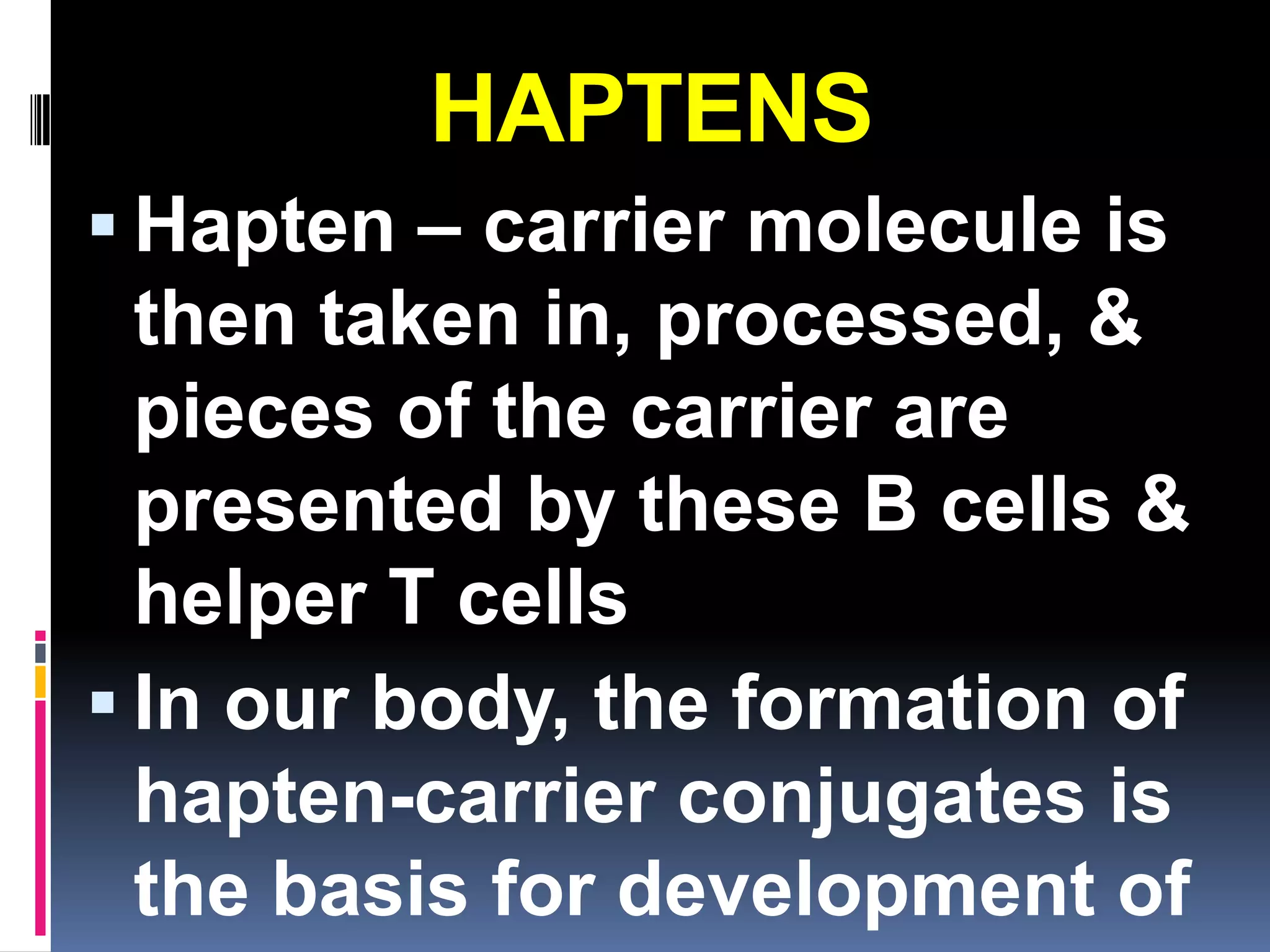 HAPTENS
 Hapten – carrier molecule is
  then taken in, processed, &
  pieces of the carrier are
  presented by these B cells &
  helper T cells
 In our body, the formation of
  hapten-carrier conjugates is
  the basis for development of
 