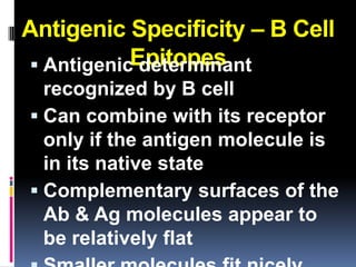 Antigenic Specificity – B Cell
           Epitopes
 Antigenic determinant
  recognized by B cell
 Can combine with its receptor
  only if the antigen molecule is
  in its native state
 Complementary surfaces of the
  Ab & Ag molecules appear to
  be relatively flat
 