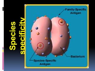Species
specificity
 