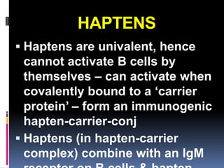 HAPTENS
 Haptens are univalent, hence
  cannot activate B cells by
  themselves – can activate when
  covalently bound to a ‘carrier
  protein’ – form an immunogenic
  hapten-carrier-conj
 Haptens (in hapten-carrier
  complex) combine with an IgM
 