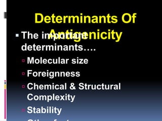 Determinants Of
       Antigenicity
 The important
determinants….
  Molecular size
  Foreignness
  Chemical & Structural
   Complexity
  Stability
 