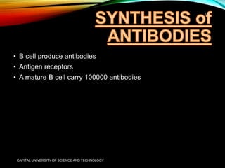 Antigen and antibodies | PPTX
