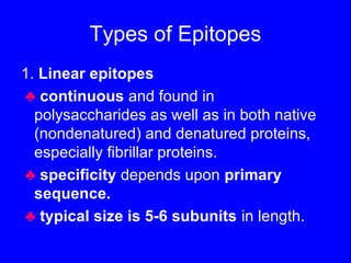 Types of Epitopes
1. Linear epitopes
♣ continuous and found in
polysaccharides as well as in both native
(nondenatured) and denatured proteins,
especially fibrillar proteins.
♣ specificity depends upon primary
sequence.
♣ typical size is 5-6 subunits in length.
 