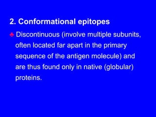 2. Conformational epitopes
♣ Discontinuous (involve multiple subunits,
often located far apart in the primary
sequence of the antigen molecule) and
are thus found only in native (globular)
proteins.
 