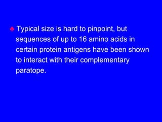 ♣ Typical size is hard to pinpoint, but
sequences of up to 16 amino acids in
certain protein antigens have been shown
to interact with their complementary
paratope.
 
