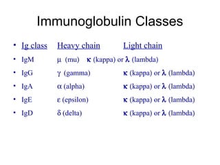Immunoglobulin Classes
• Ig class Heavy chain Light chain
• IgM µ (mu) κ (kappa) or λ (lambda)
• IgG γ (gamma) κ (kappa) or λ (lambda)
• IgA α (alpha) κ (kappa) or λ (lambda)
• IgE ε (epsilon) κ (kappa) or λ (lambda)
• IgD δ (delta) κ (kappa) or λ (lambda)
 