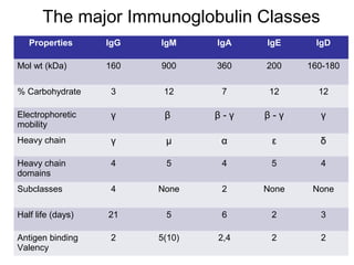 The major Immunoglobulin Classes
Properties IgG IgM IgA IgE IgD
Mol wt (kDa) 160 900 360 200 160-180
% Carbohydrate 3 12 7 12 12
Electrophoretic
mobility
γ β β - γ β - γ γ
Heavy chain γ μ α ε δ
Heavy chain
domains
4 5 4 5 4
Subclasses 4 None 2 None None
Half life (days) 21 5 6 2 3
Antigen binding
Valency
2 5(10) 2,4 2 2
 
