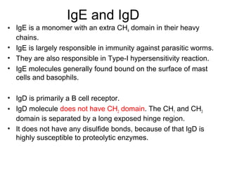 IgE and IgD
• IgE is a monomer with an extra CH4 domain in their heavy
chains.
• IgE is largely responsible in immunity against parasitic worms.
• They are also responsible in Type-I hypersensitivity reaction.
• IgE molecules generally found bound on the surface of mast
cells and basophils.
• IgD is primarily a B cell receptor.
• IgD molecule does not have CH2 domain. The CH1 and CH3
domain is separated by a long exposed hinge region.
• It does not have any disulfide bonds, because of that IgD is
highly susceptible to proteolytic enzymes.
 