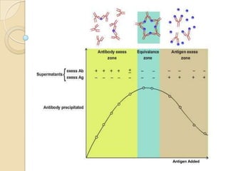 Antigen and antibody reaction | PPTX
