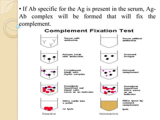 Antigen and antibody reaction | PPTX