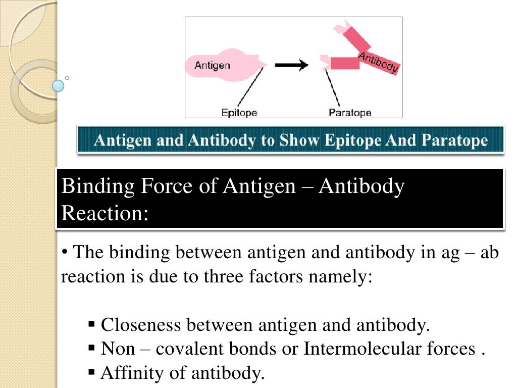 Antigen and antibody reaction