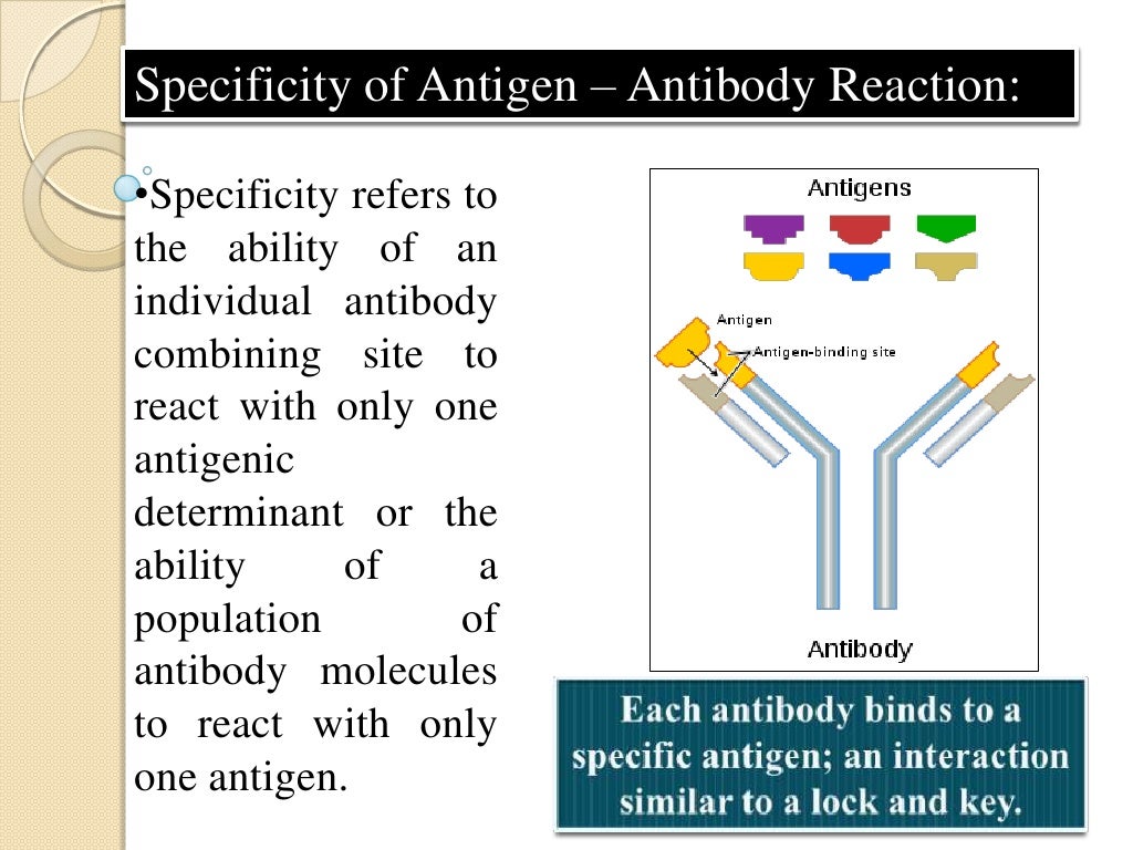 Antigen and antibody reaction