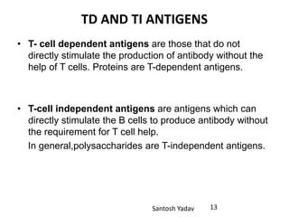 Santosh Yadav
TD AND TI ANTIGENS
• T- cell dependent antigens are those that do not
directly stimulate the production of antibody without the
help of T cells. Proteins are T-dependent antigens.
• T-cell independent antigens are antigens which can
directly stimulate the B cells to produce antibody without
the requirement for T cell help.
In general,polysaccharides are T-independent antigens.
13
 