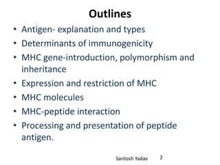 Santosh Yadav
Outlines
• Antigen- explanation and types
• Determinants of immunogenicity
• MHC gene-introduction, polymorphism and
inheritance
• Expression and restriction of MHC
• MHC molecules
• MHC-peptide interaction
• Processing and presentation of peptide
antigen.
2
 