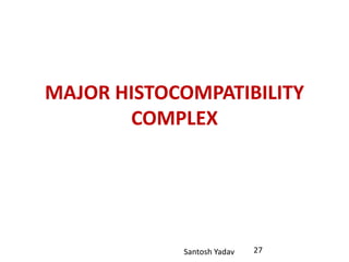 Santosh Yadav
MAJOR HISTOCOMPATIBILITY
COMPLEX
27
 