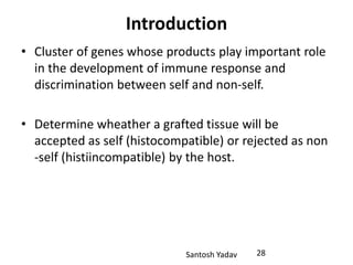 Santosh Yadav
Introduction
• Cluster of genes whose products play important role
in the development of immune response and
discrimination between self and non-self.
• Determine wheather a grafted tissue will be
accepted as self (histocompatible) or rejected as non
-self (histiincompatible) by the host.
28
 