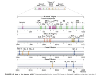 Santosh Yadav
Contd…
32
 