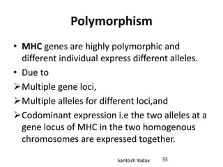 Santosh Yadav
Polymorphism
• MHC genes are highly polymorphic and
different individual express different alleles.
• Due to
Multiple gene loci,
Multiple alleles for different loci,and
Codominant expression i.e the two alleles at a
gene locus of MHC in the two homogenous
chromosomes are expressed together.
33
 