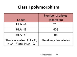 Santosh Yadav
Class I polymorphism
Locus
Number of alleles
(allotypes)
HLA - A 218
HLA - B 439
HLA - C 96
There are also HLA - E,
HLA - F and HLA - G
Relatively few alleles
34
 