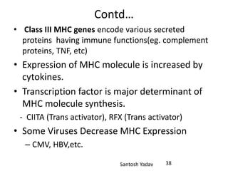 Santosh Yadav
Contd…
• Class III MHC genes encode various secreted
proteins having immune functions(eg. complement
proteins, TNF, etc)
• Expression of MHC molecule is increased by
cytokines.
• Transcription factor is major determinant of
MHC molecule synthesis.
- CIITA (Trans activator), RFX (Trans activator)
• Some Viruses Decrease MHC Expression
– CMV, HBV,etc.
38
 